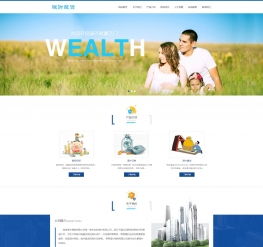 股权投资财富管理网站模板 移动端与咨询功能