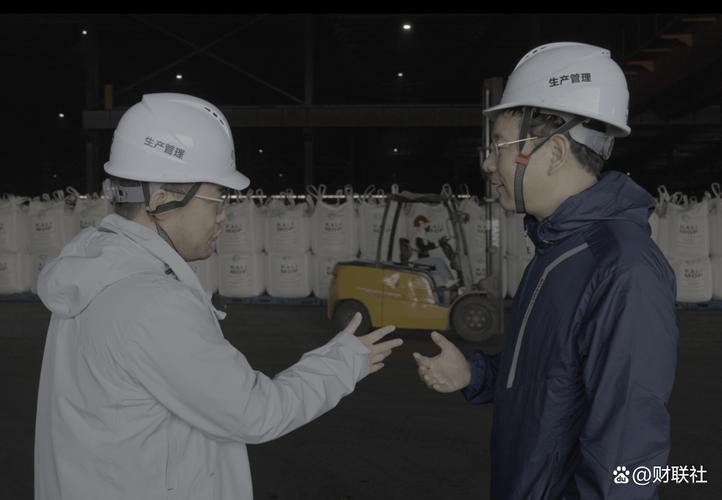 直击一线 中小投资者走进亚钾国际老挝工厂的现场考察实录与投资管理思考