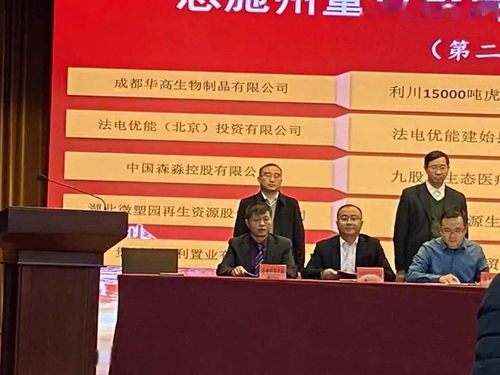 利川再迎新投资高峰 52.3亿元重大项目成功签约